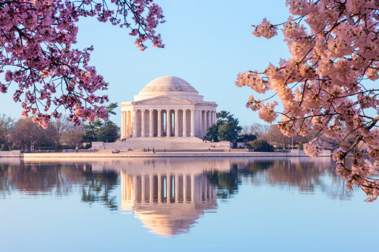 워싱턴 D.C. 사진